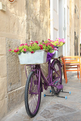 Fototapeta na wymiar Beautiful Flower Pot on bycicle at Matera Italy