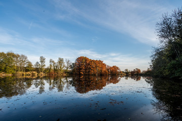 reflection of trees in water