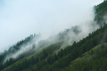 mountain slope with forest and morning fog, clouds covered the rock ridge