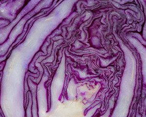 heart of cabbage