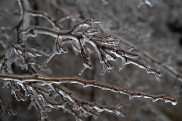 heart of ice