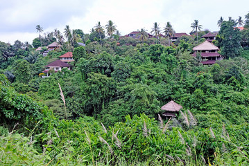 Artist path in Ubud, Bali, Indonesia