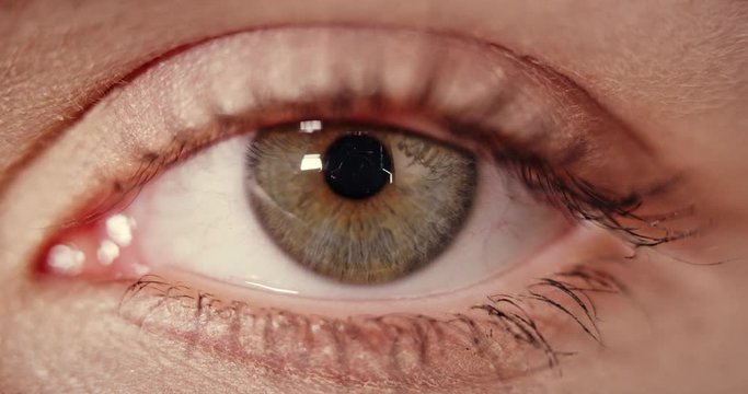 Extreme close up shot of a brown and blue colored iris of young woman.