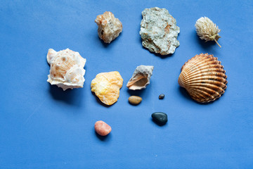 Cheerful and summery set of seashells on a diffuse and colorful background that evoke the tranquility and serenity of the environment from which they come