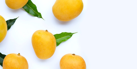 Tropical fruit, Mango  on white background. Top view