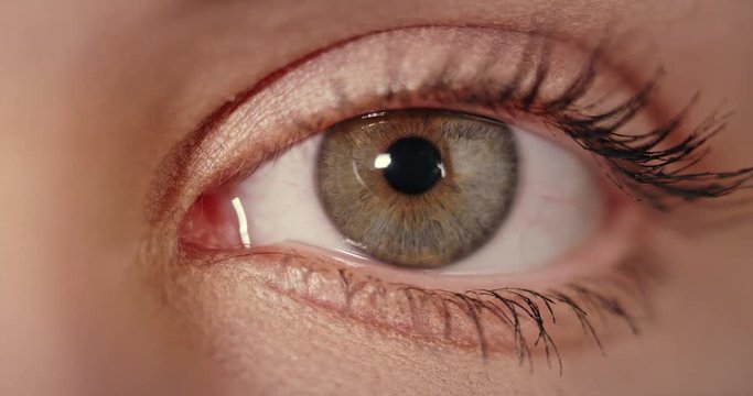 Extreme close up shot of a brown and blue colored iris of young woman.