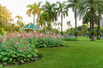 Flowering garden plant on fresh green grass smooth lawn,  palm trees on background in good maintenance landscape of public park