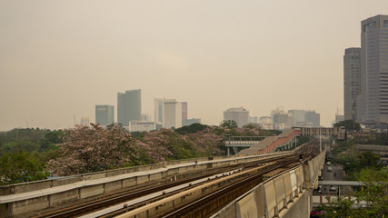 Fototapeta na wymiar Bangkok, Thailand-February 7, 2020: Cloudy sky with PM 2.5 air pollution covering Bangkok city area, view from Bts train station to sky train railway and pink Trumpet tree flower know plant blooming 