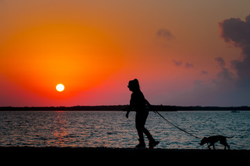 Fototapeta premium Silhouette of a woman on roller-skates. Girl walks with a dog. Cute little puppy. Beautiful ocean sunset on background.