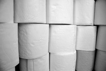rolls of toilet paper