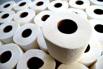rolls of toilet paper