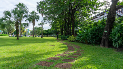 Bangkok, Thailand-August 18, 2019: Green lawn garden in Chatuchak park beside Bts train station on Phaholyothin road, landmark and Famous public park in Bangkok for people come to joy and relaxing