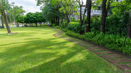 Green lawn garden with brown walkway in Chatuchak park beside Bts train station on Phaholyothin road, landmark and Famous public park in Bangkok for people come to joy and relaxing