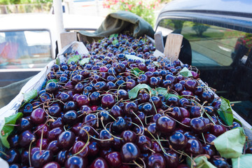 Boxes with fresh cherries for sale on the market (bazaar) in town of Avsallar. Antalya Province,...