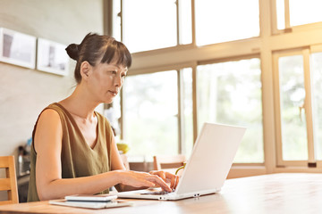 woman using laptop