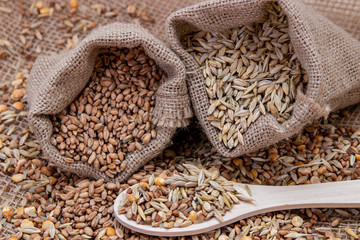 Wheat and oats in bags. A wooden spoon filled with grains.