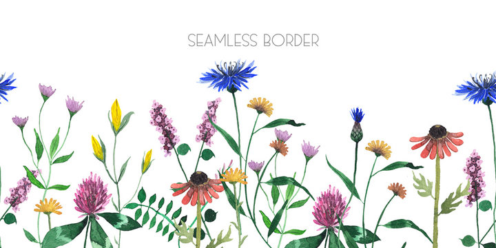 Watercolor floral seamless border with Meadow flowers, wildflowers, medicinal plants, field herbs, poppy, cornflower. Hand drawn botanical illustrations isolated on white background