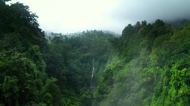 Aerial view of jungle waterfall in Bali. Drone fly over the rain forest