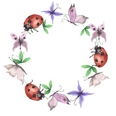 Watercolor floral wreath with Meadow flowers, wildflowers, medicinal plants, field herbs, poppy, cornflower. Hand drawn botanical illustrations isolated on white background