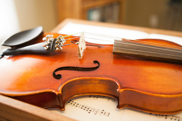 Obraz na płótnie Canvas close up of violin strings and wood details