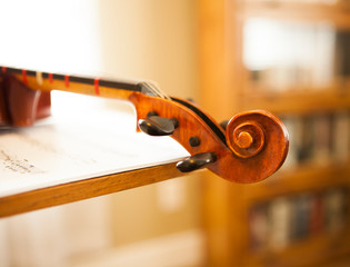 Obraz na płótnie Canvas close up of violin strings and wood details