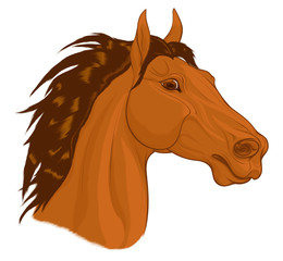 Portrait of a chestnut horse with long mane. Stallion pricked up its ears and stared ahead warily with flared nostrils. Vector emblem, design element for stud farms and equestrian clubs.