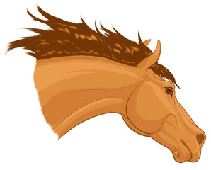 Portrait of a running sorrel horse with long fluttering mane. Stallion lowered its head. Vector clip art for stud farms and equestrian clubs.