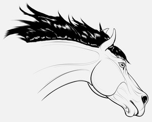 Outline portrait of a running horse with long fluttering mane. Stallion lowered its head. Vector clip art for equestrian clubs and for coloring books hobby.