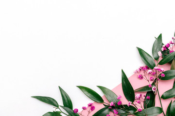 The leaves of Ruscus and pink gypsophila on the geometric white and pink background.Festive concept,copy space for text,top view