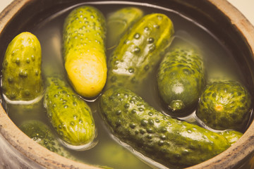 Vintage photo, Fresh prepared homemade pickled cucumbers in clay pot