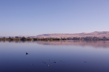 Obraz na płótnie Canvas Lake with Birds