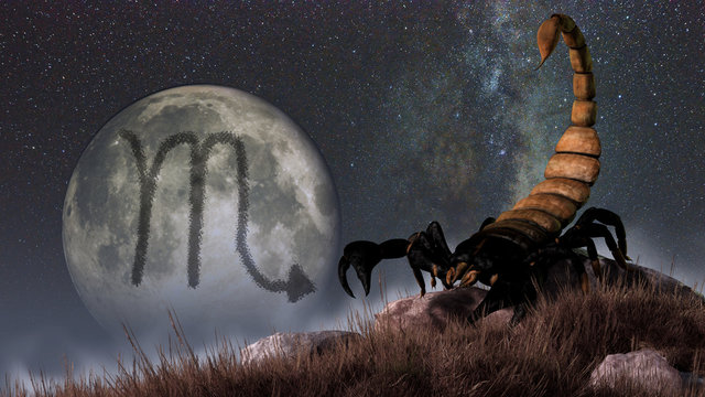Scorpio is the sixth sign of the Zodiac. People born between October 23rd and November 22nd have this astrological sign. Its symbol is the scorpion. 3D rendering.