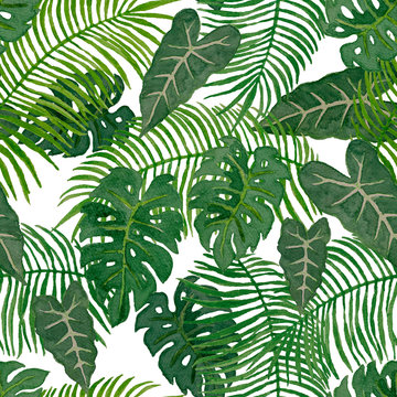 Watercolor hand painting illustration of tropical leaves trees, green palm and monstera leaf seamless pattern on white background for textile fabric printed or wallpaper