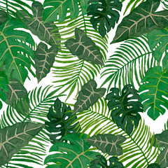 Fototapeta premium Watercolor painting illustration of tropical leaves tree, green palm and monstera leaf exotic seamless pattern on white background, isolated with clipping pate, for textile fabric printed or wallpaper