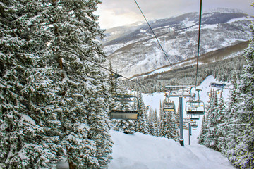 Empty ski lift in Vail Colorado next to giant snow-covered tree - obrazy, fototapety, plakaty