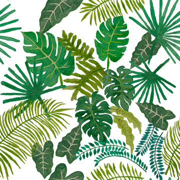 Watercolor painting illustration of tropical leaves trees, green palm and monstera leaf exotic seamless pattern on white background, isolated clipping pate, for textile fabric printed or wallpaper