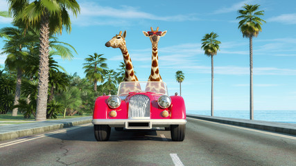 Retro car funny © Orlando Florin Rosu