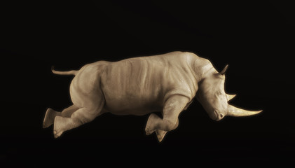 Rhino attacks isolated © Orlando Florin Rosu