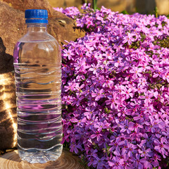 Plastic bottle with clean drinking water.