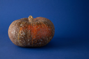 Ugly food. An ugly organic orange pumpkin with damaged skin on a blue background. Buying imperfect food as a way to deal with food waste. Substandard product. Horizontal orientation. Copy space