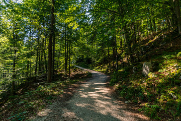 Fototapeta na wymiar Malerwinkel circular hiking trail at Konigssee, Berchtesgaden