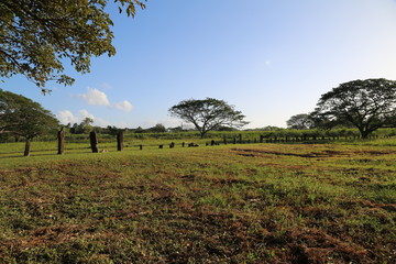 El Caño, Nata. Panamá.