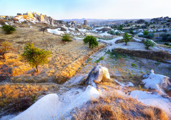 Cave Dwellings in an Arid Landscape in Cappadocia