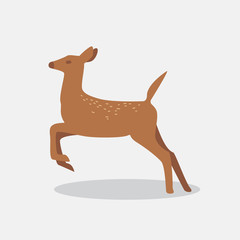 Vector of funny Deers. Sika Deers, Reindeers, Stags. Isolated in white background. Children book.