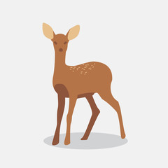 Vector of funny Deers. Sika Deers, Reindeers, Stags. Isolated in white background. Children book.