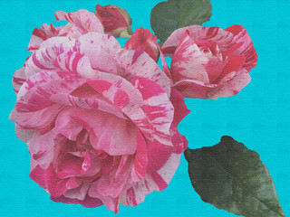 Pink roses on a aquamarine linen fabric