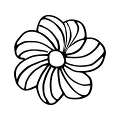 Colorful black and white pattern for coloring. Daisy flower illustration.