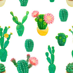 Seamless pattern of cactus succulent plant water color hand sketch painting, collection of green color and spike tropical botanical plants isolated on white background, illustration objects drawing