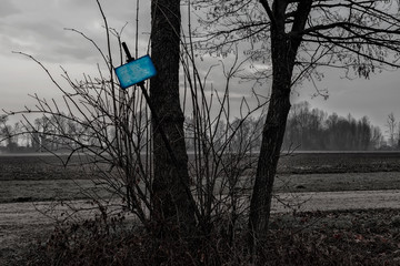 Piccolo cartello azzurro e sagome di alberi in campagna. Fotografia notturna in bianco e nero.
