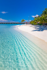 Maldives paradise beach. Perfect tropical island. Beautiful palm trees and tropical beach. Moody blue sky and blue lagoon. Luxury travel summer holiday background concept.